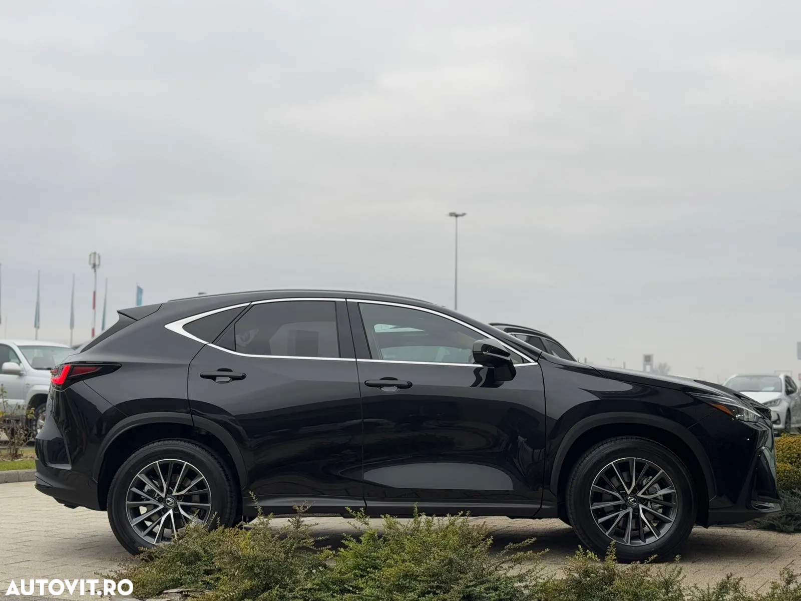 Lexus Seria NX 350h AWD CVT HEV Executive - 8