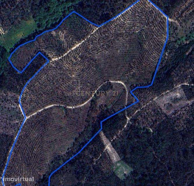 Terreno para venda, com 112 000m2 - Grande imagem: 3/4