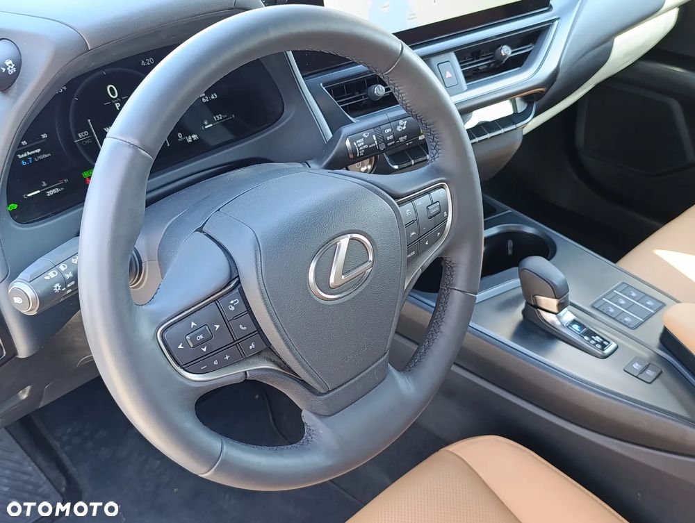 Lexus UX 300h Executive Line - 18