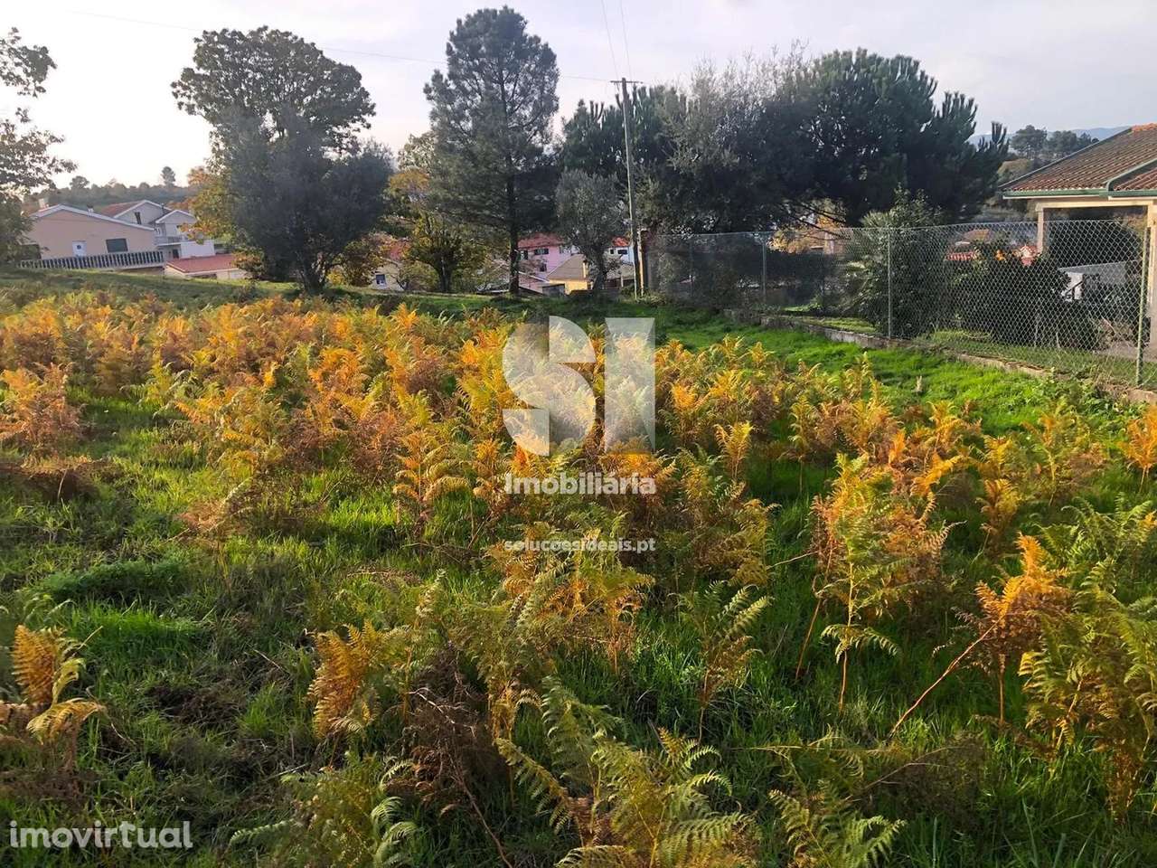 Terreno em Sabrosa - Grande imagem: 3/15