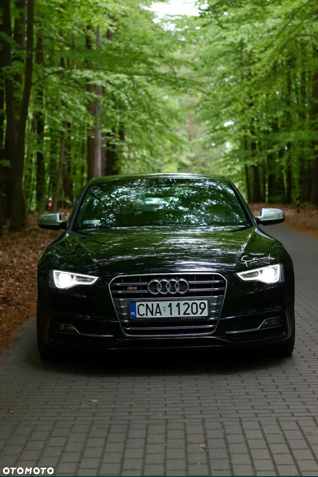 Audi S5 4.2 Quattro Tiptr - 5