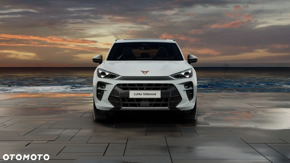 Cupra Terramar 2.0 TSI 4Drive DSG - 8