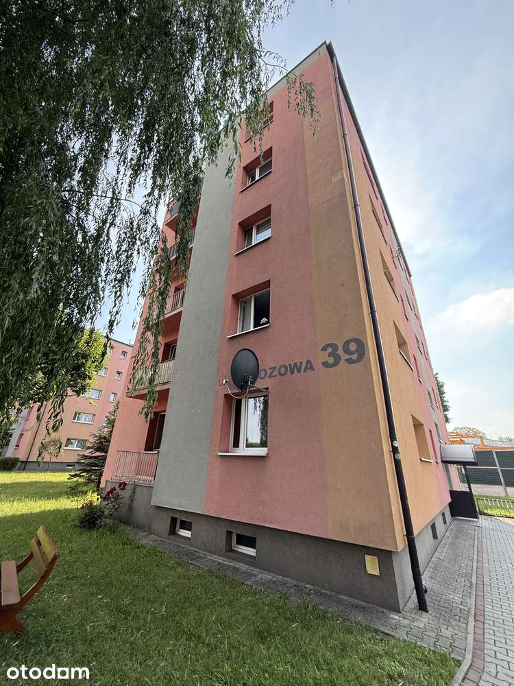 Okazja Brzozowa 39