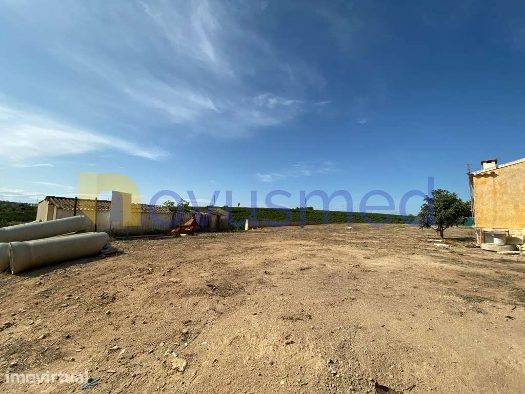 Quinta em plena produção de laranjal, exploração agrícola, Algarve,... - Grande imagem: 4/11