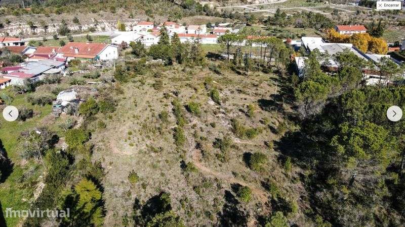 Terreno para construção em Cernache, 5000 m2 - Grande imagem: 3/4