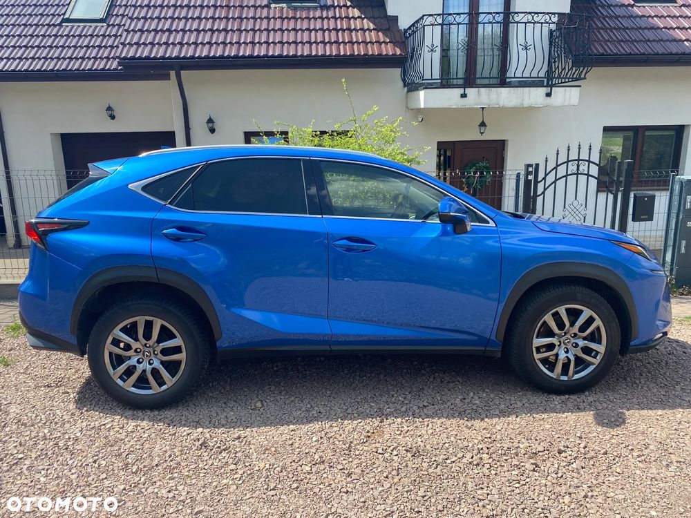 Lexus NX 300 Business Edition AWD - 5