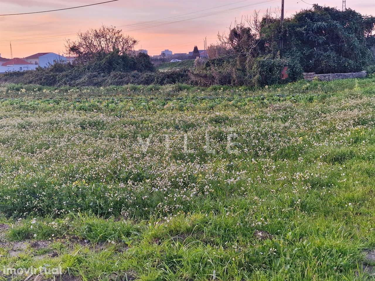 Terreno Urbano para Moradia Isolada á portas da Cidade - Grande imagem: 2/5