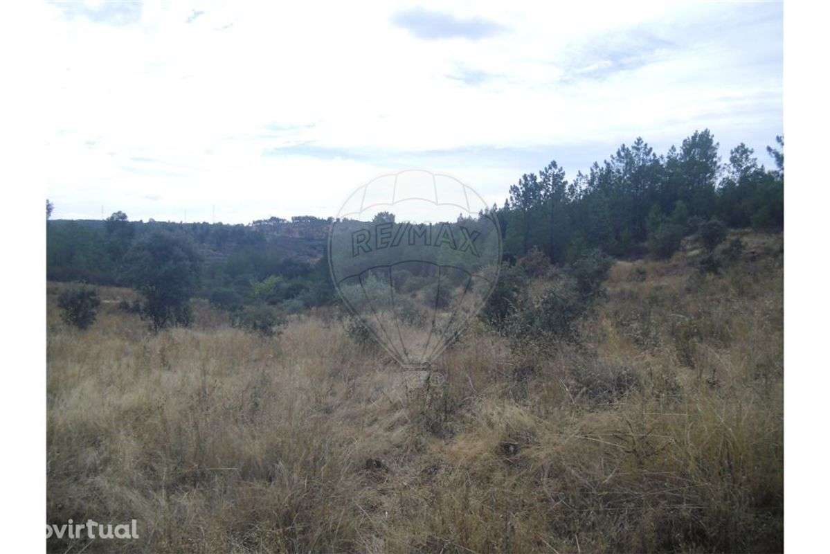 Quinta T0 para venda - Grande imagem: 5/9