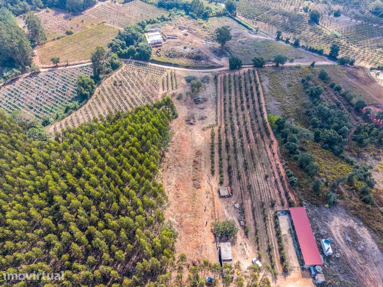 Terreno de 6120 m2 com PIP aprovado para construção. - Grande imagem: 4/15