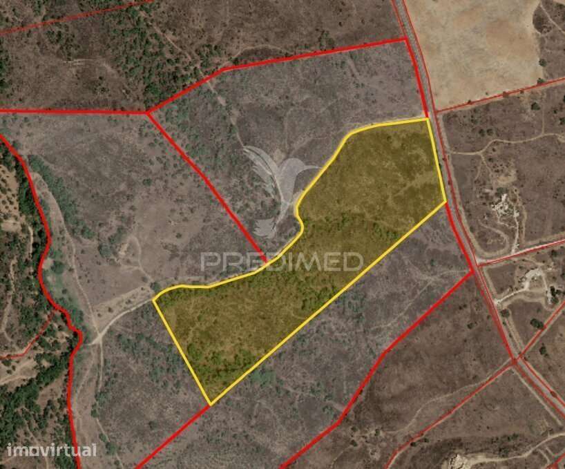 Terreno Rustico com 8.5 hectares - Grande imagem: 2/30