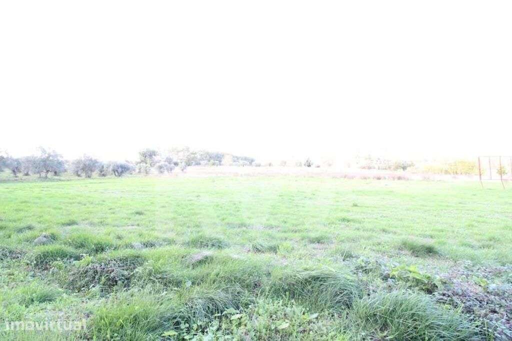 Terreno para construção com 7600m2 | Possibilidade de loteamento | Sou - Grande imagem: 3/16