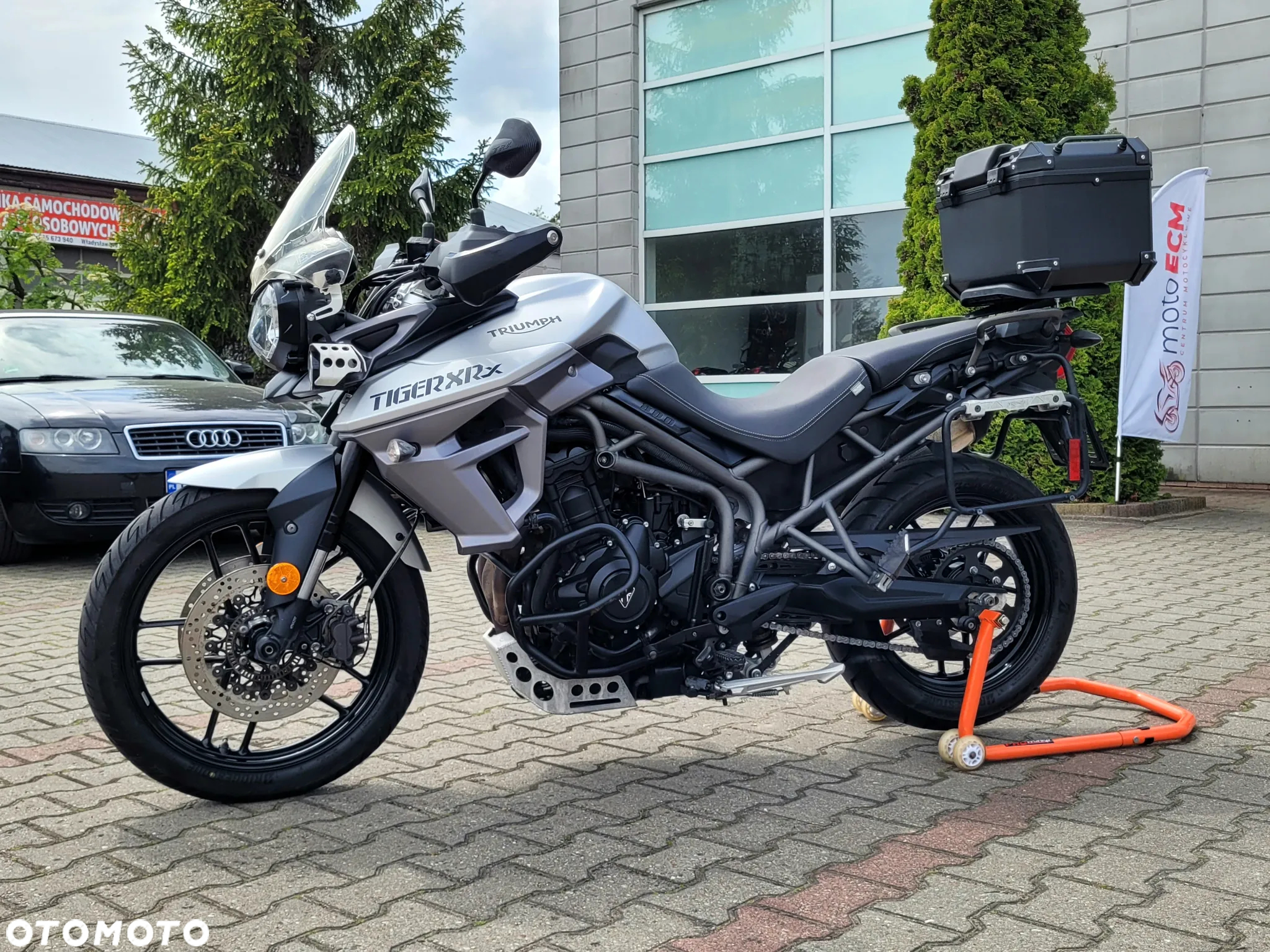 Triumph Tiger - 18
