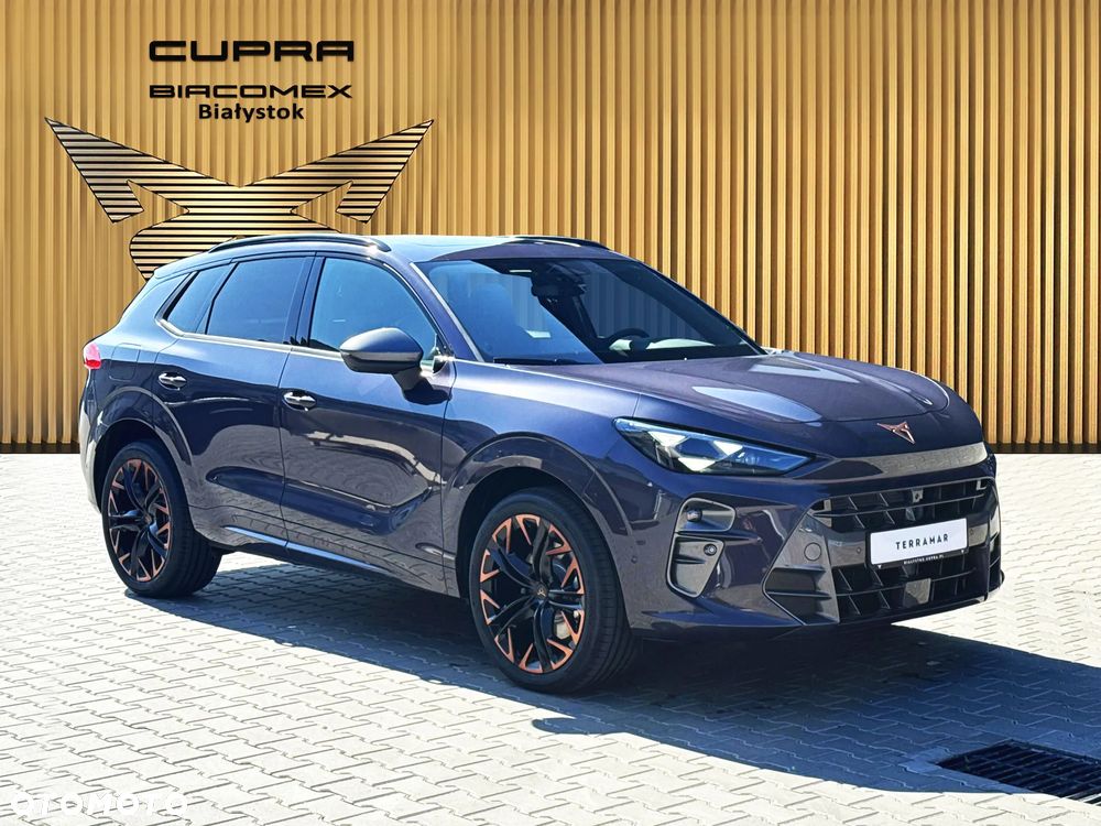 Cupra Terramar 2.0 TSI 4Drive Advantage Edition Copper DSG - 8