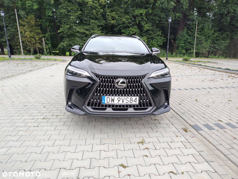 Lexus NX - 10