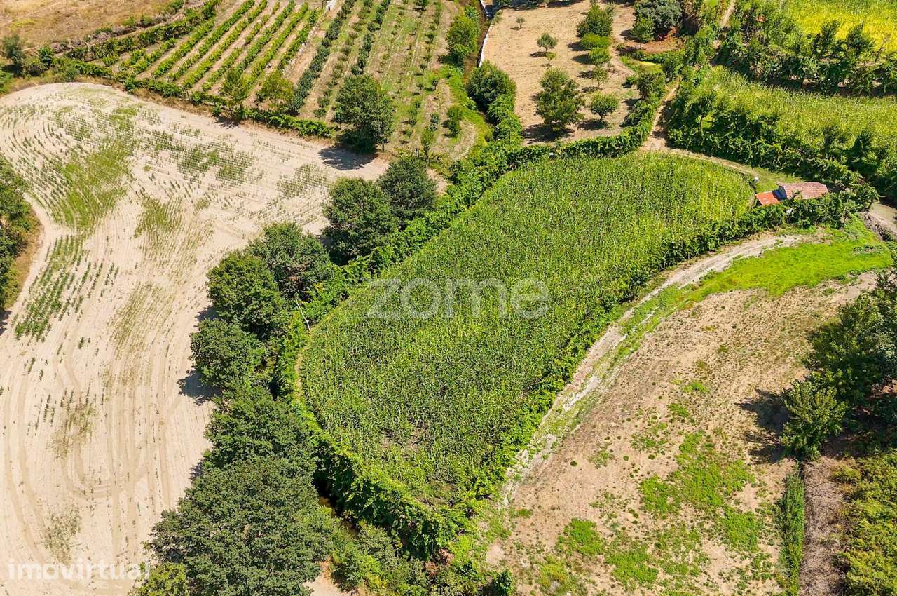 Terreno, 2 386 m², São Gens - Grande imagem: 4/30
