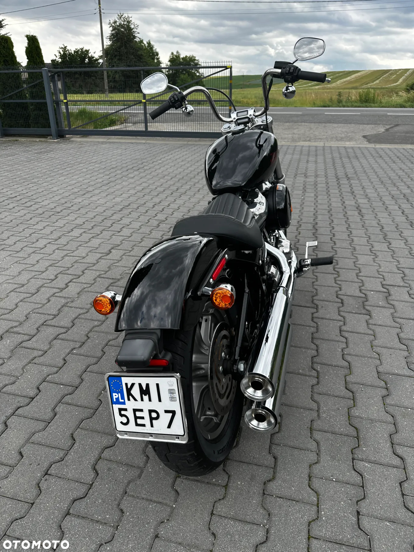 Harley-Davidson Softail Standard - 2