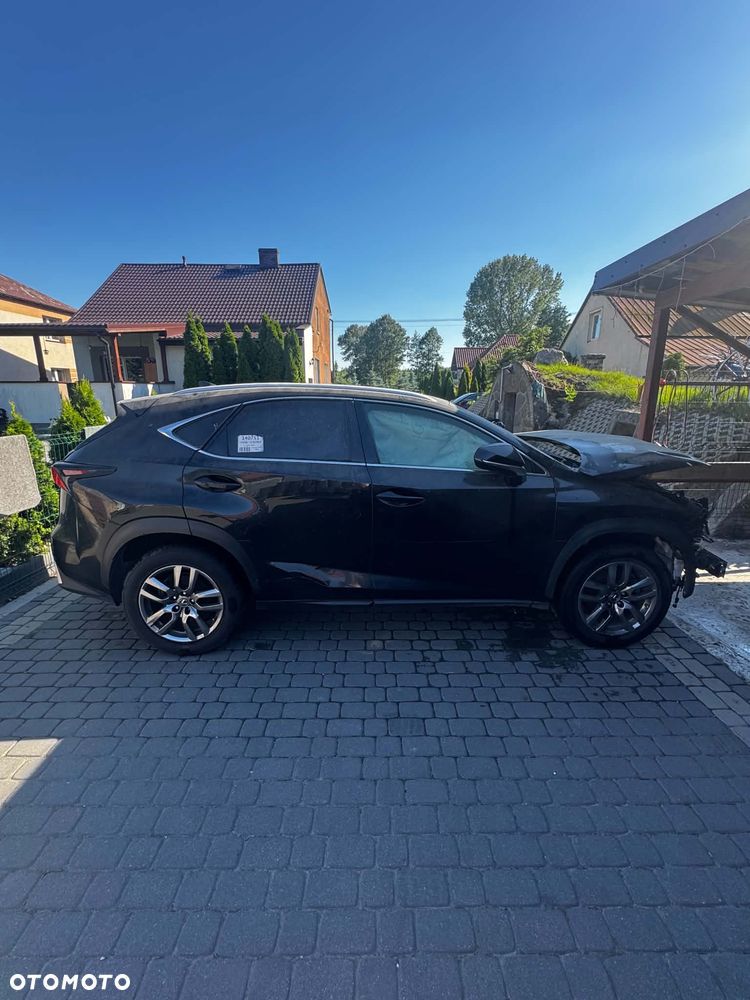Lexus NX 300h - 2