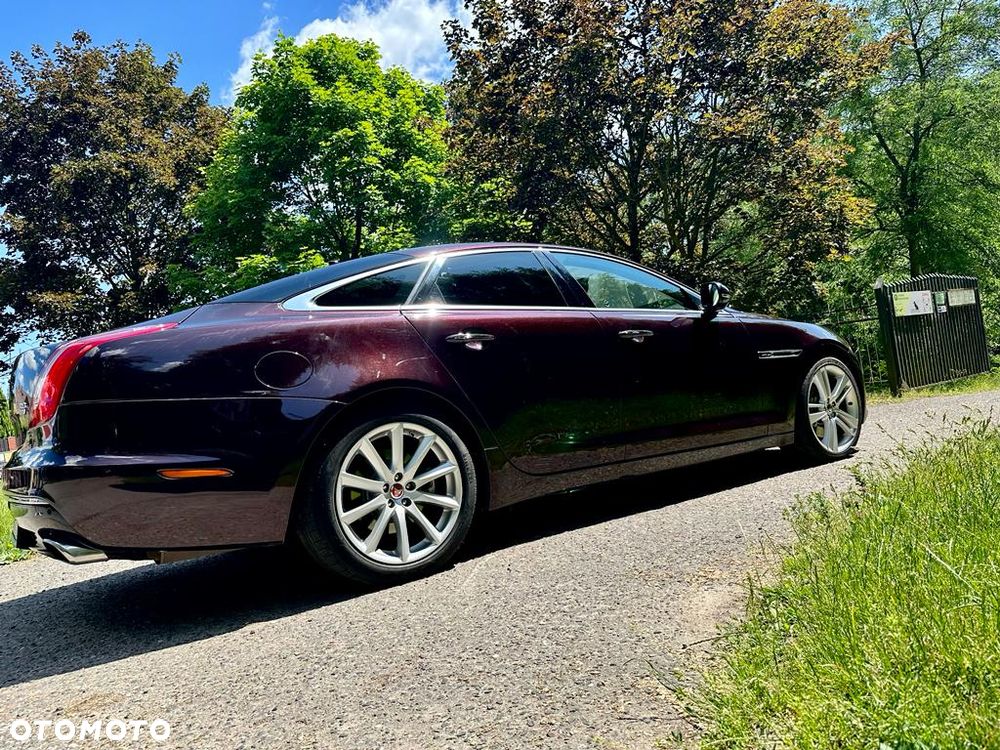 Jaguar XJ 3.0 V6 Kompressor AWD Portfolio - 18