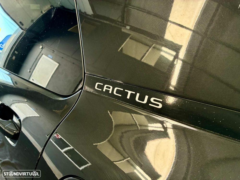 Citroën C4 Cactus 1.6 BlueHDi Feel - 34