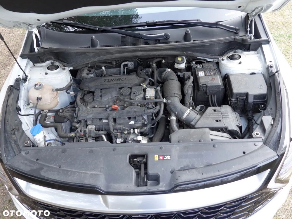 Kia Sportage 1.6 T-GDI MHEV Business Line 2WD DCT - 7