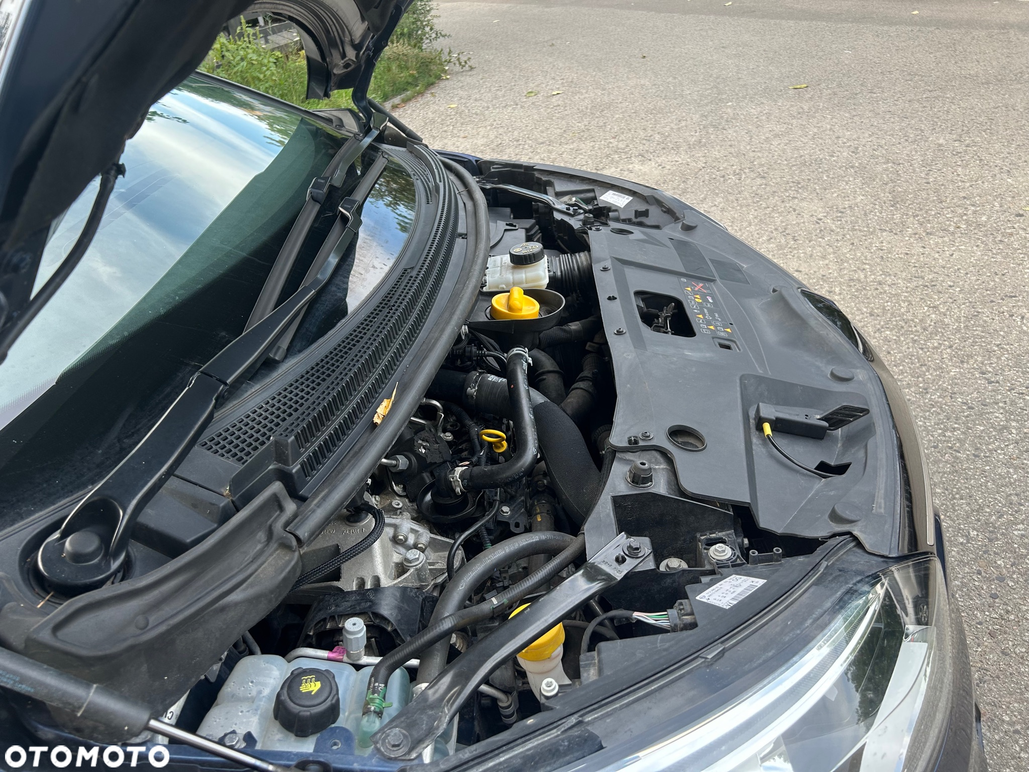 Renault Scenic 1.3 TCe Energy Intens - 12