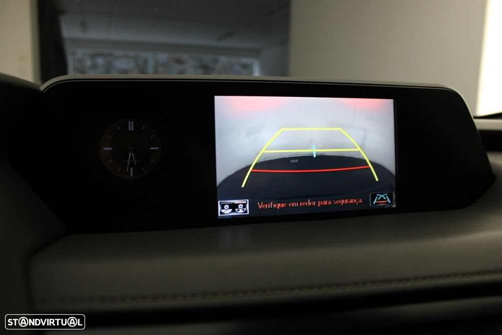 Lexus UX 250h Premium - 20