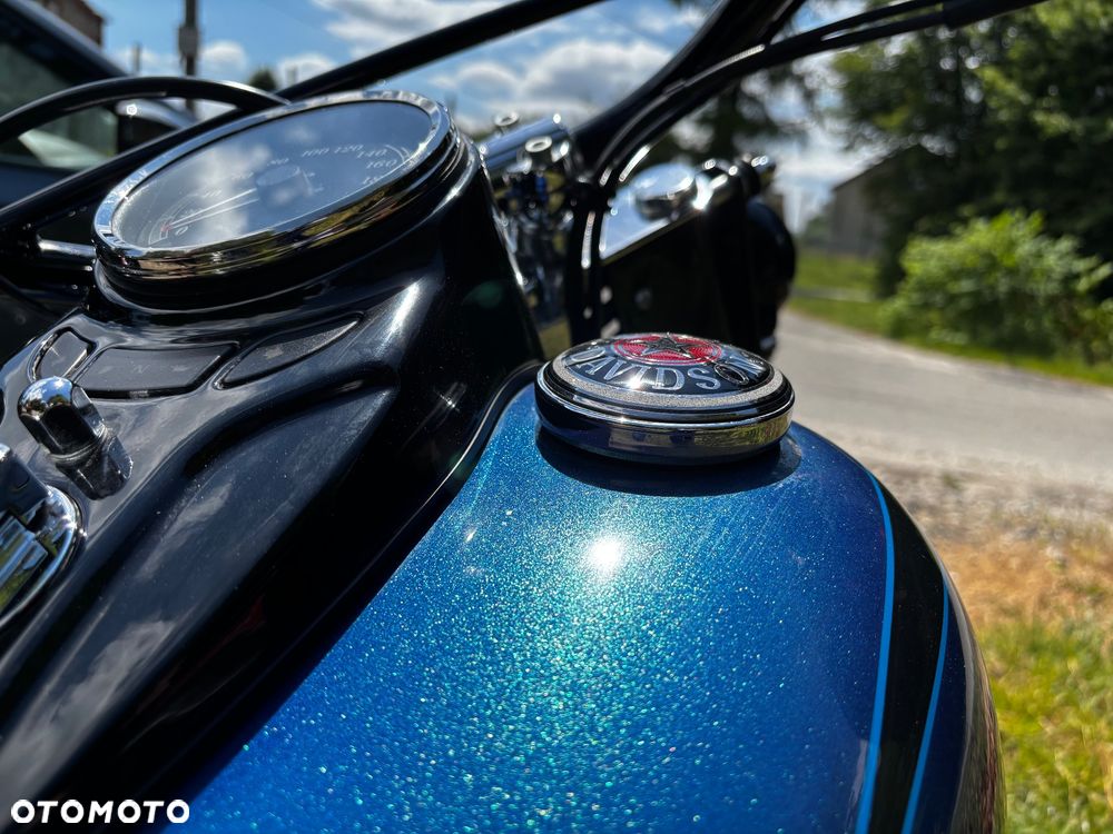 Harley-Davidson Softail - 18