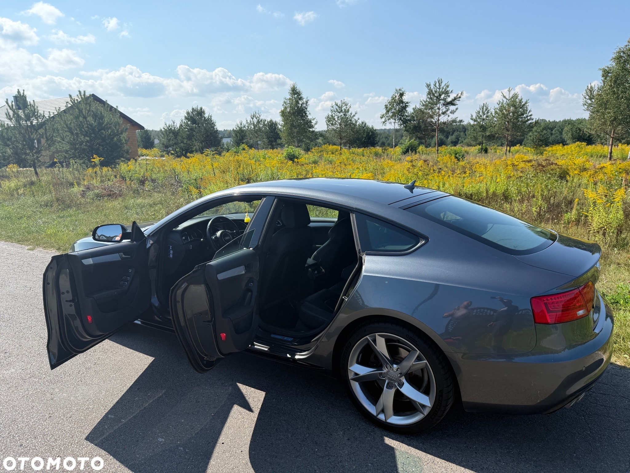 Audi A5 Sportback 2.0 TDI (clean diesel) DPF multitronic - 14