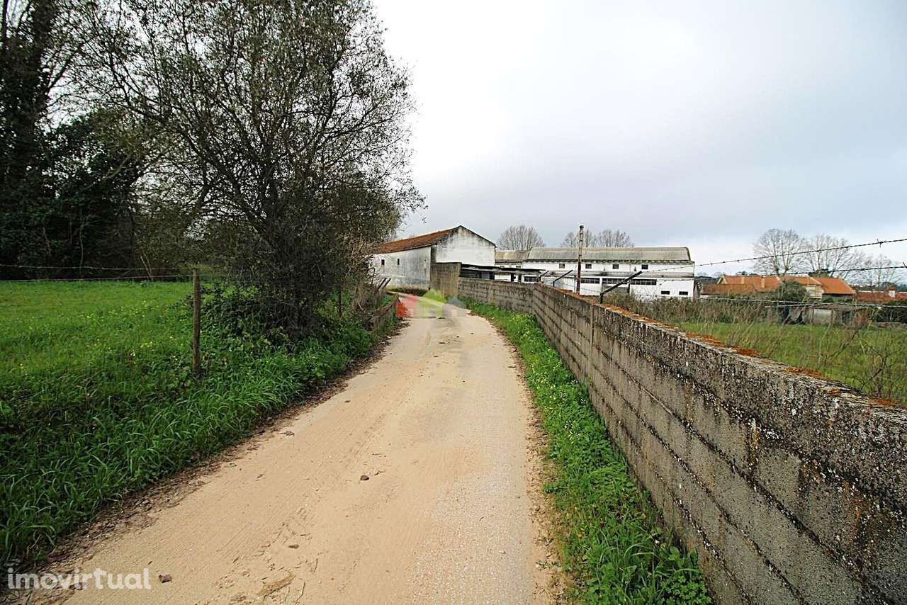 Terreno Rústico de 5.005m2 na Quinta das Façalvas - Palmela - Grande imagem: 4/23