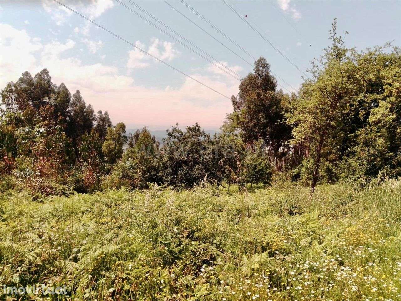 Terreno para construção em Rebordosa - Paredes - Grande imagem: 2/6