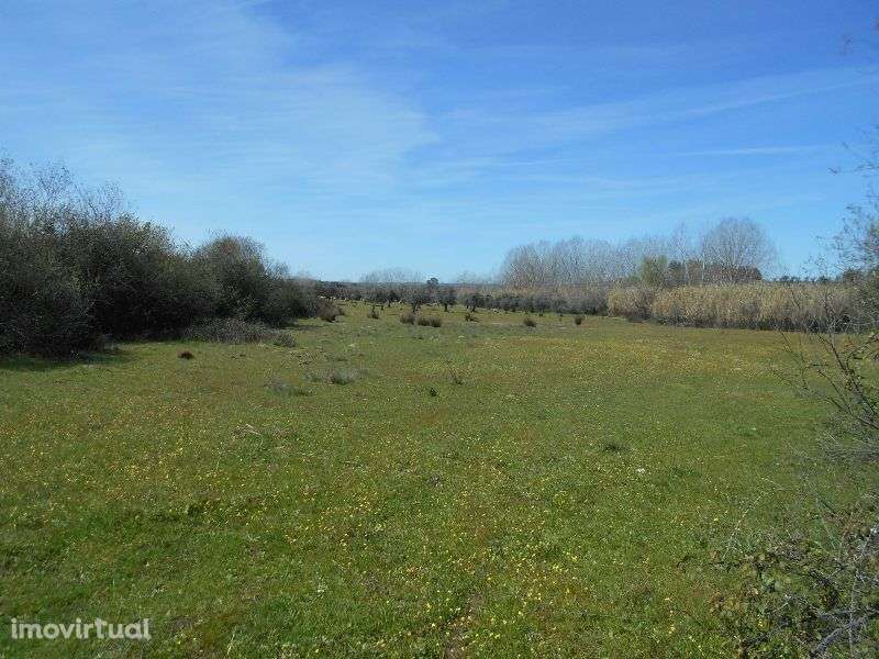 Quinta - Grande imagem: 2/15