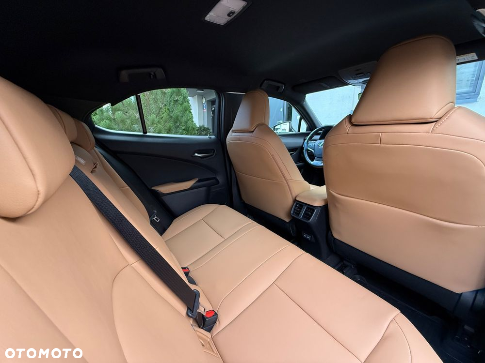 Lexus UX 250h GPF F Sport Design+ 2WD - 29