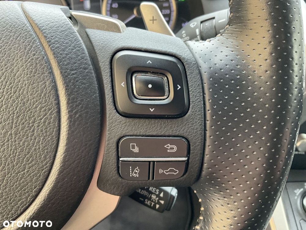 Lexus NX 300h F Sport Edition AWD - 24