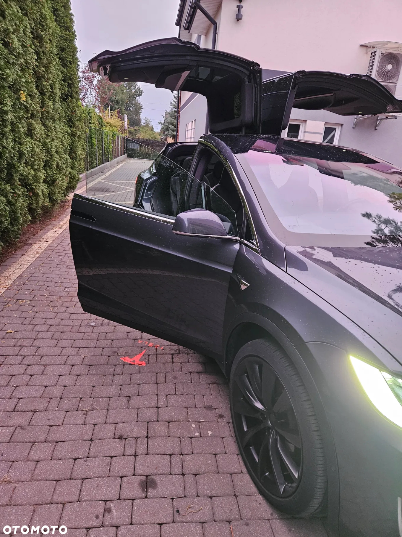 Tesla Model X P 100 D - 20