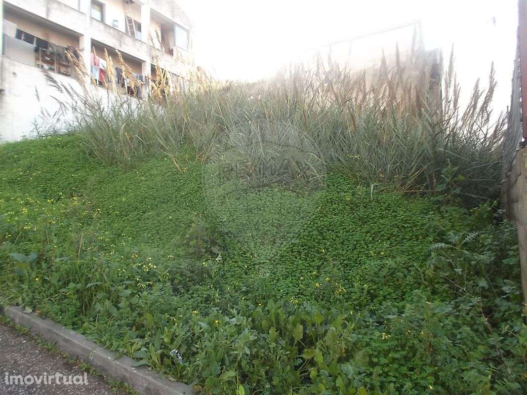 Terreno  para venda - Grande imagem: 5/6