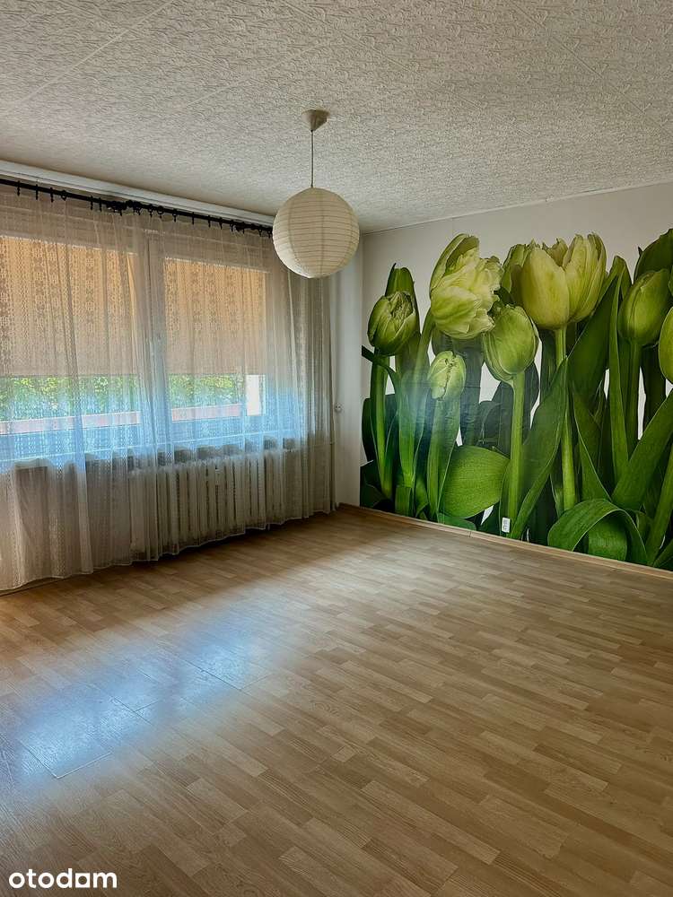 Mieszkanie 34,2 m², Północ / 1 piętro / Bezpośrednio od właściciela