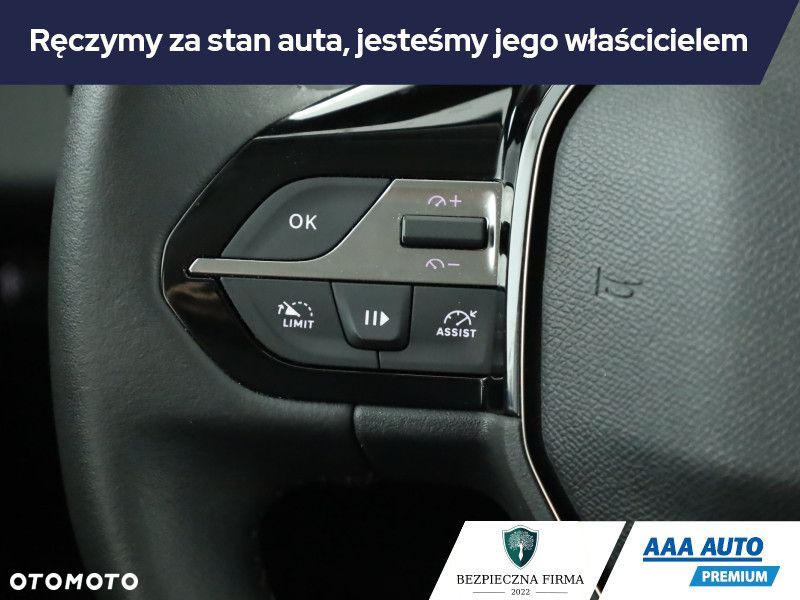 Peugeot 308 - 17