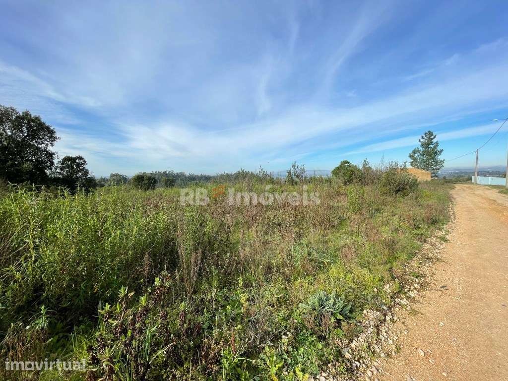 2 Terrenos Mistos, em São Pedro de Tomar - Grande imagem: 2/5