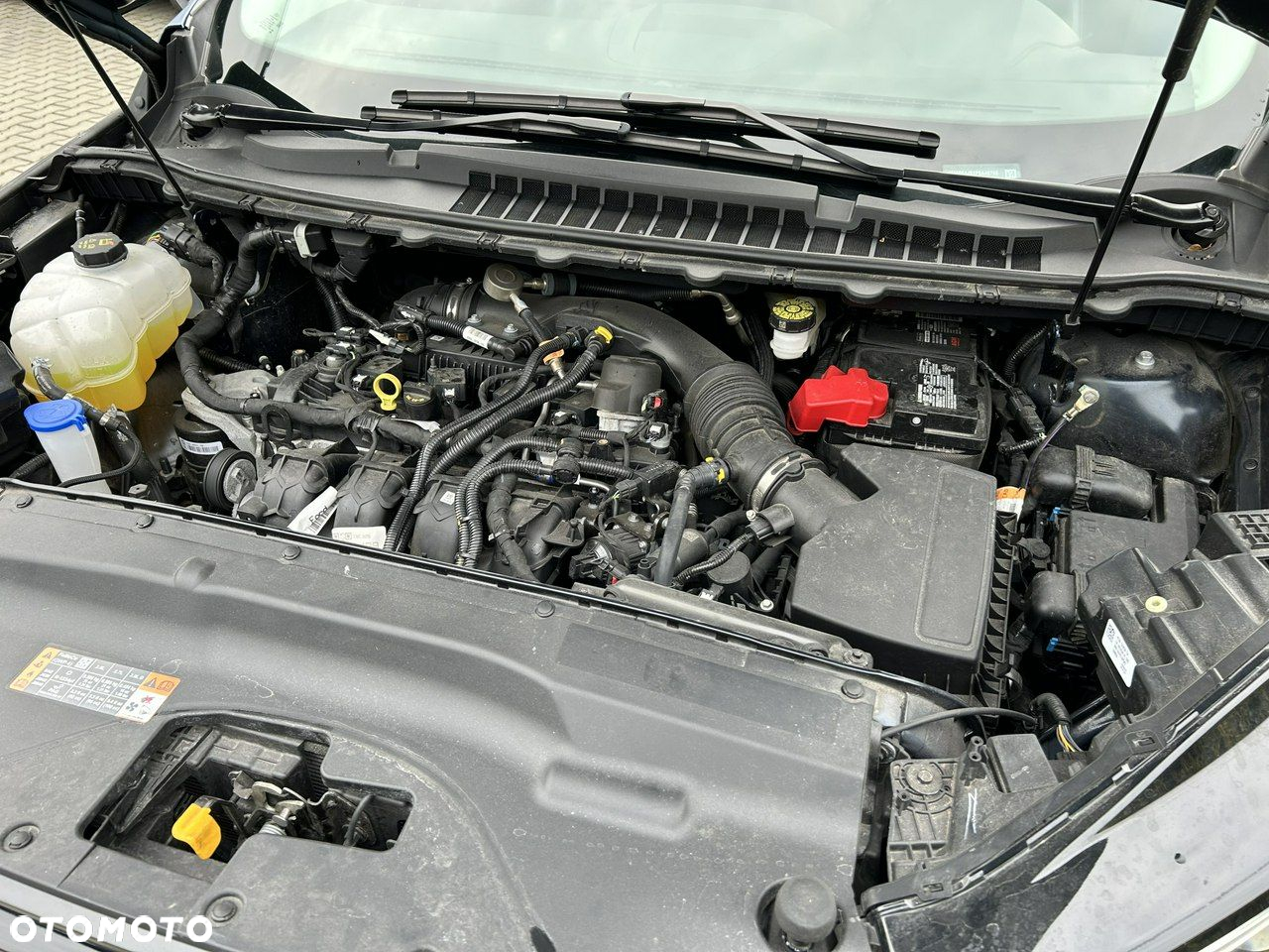 Ford Edge - 25