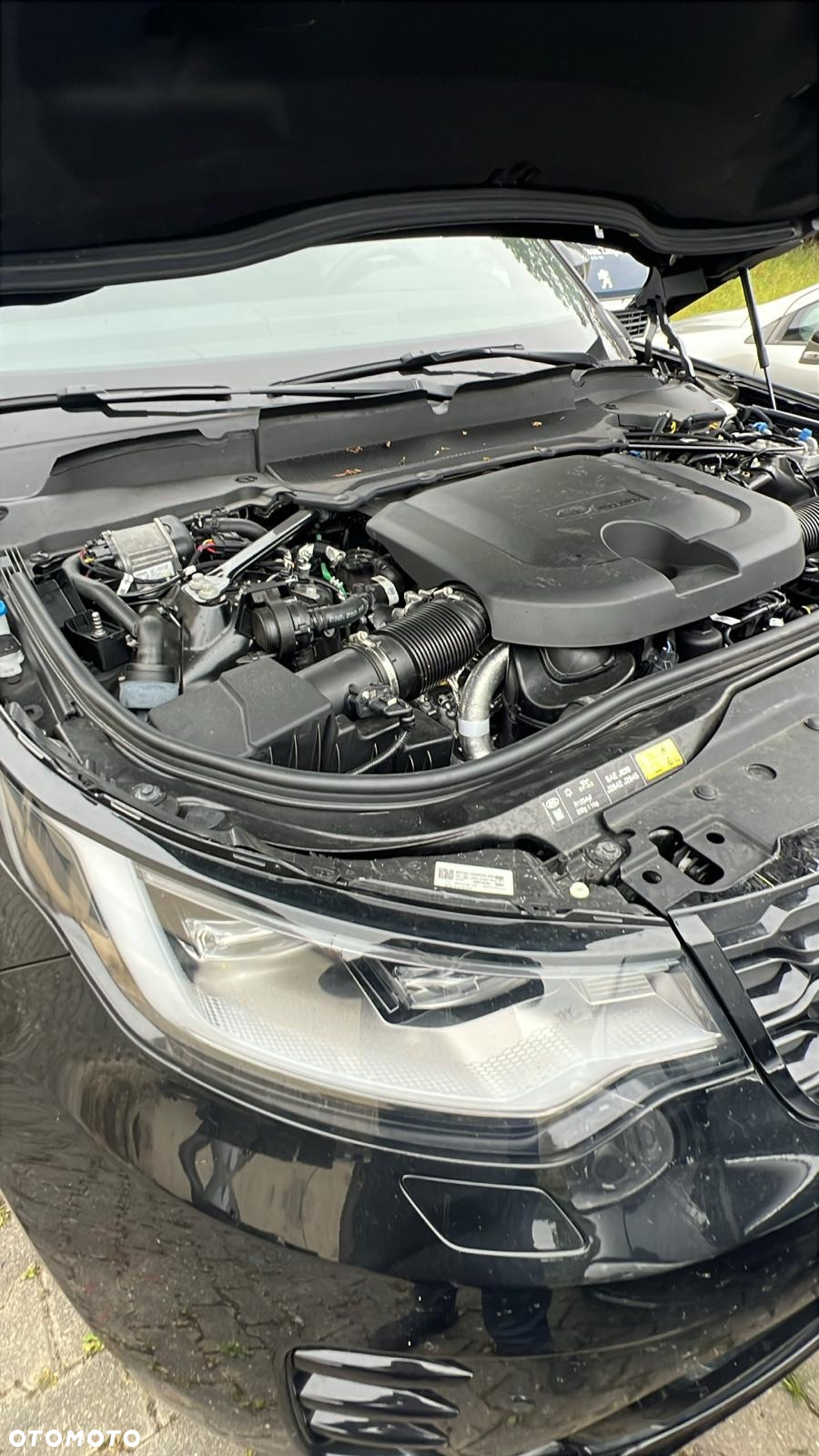 Land Rover Discovery D250 R-Dynamic SE - 19