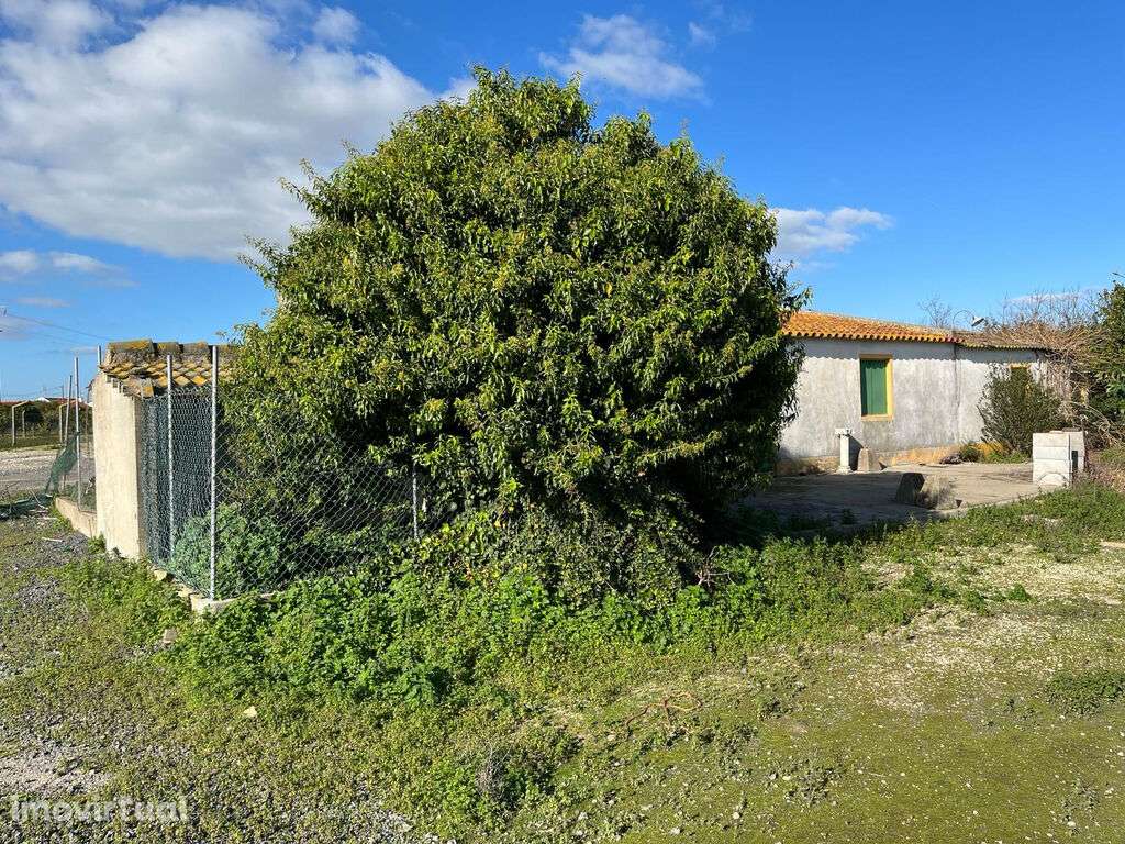 Venda Terreno - Grande imagem: 5/20