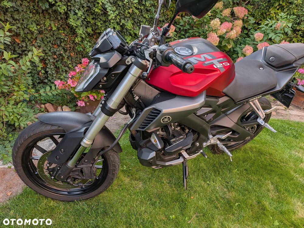 Yamaha MT - 30