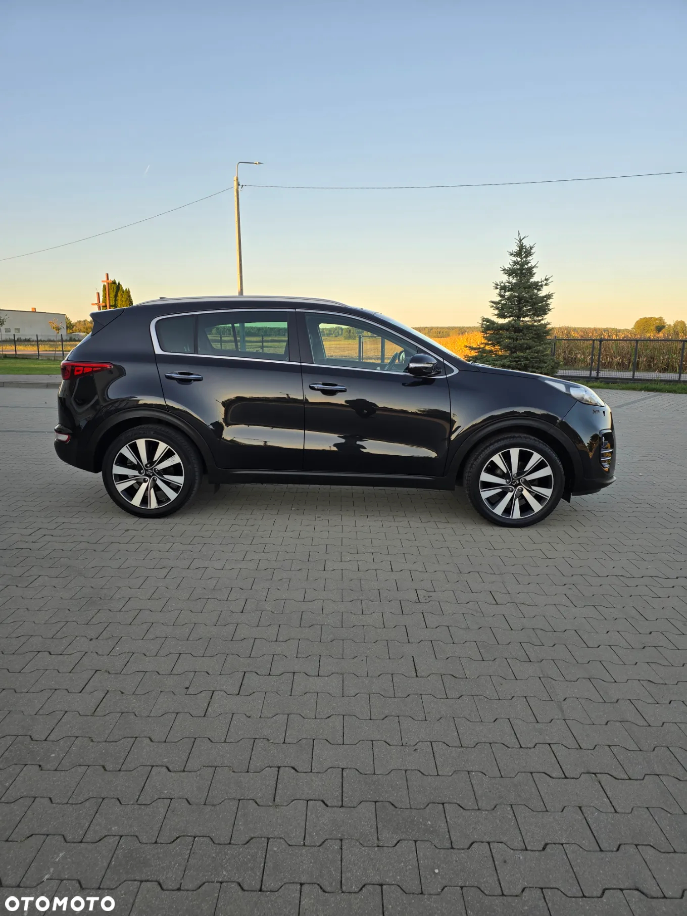 Kia Sportage 1.7 CRDI Business Line 2WD - 13