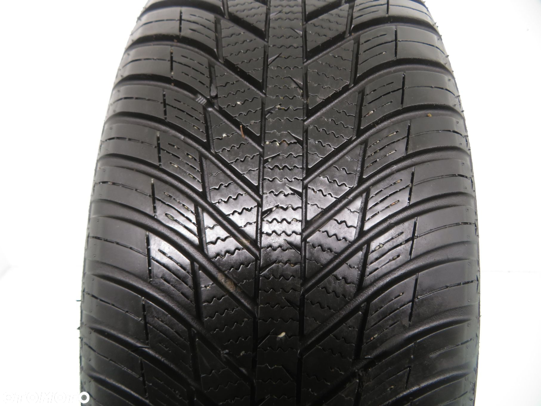 1x 225/55R17 OPONA CAŁOROCZNA Nexen Nblue 4Season WH17 101V XL - 9