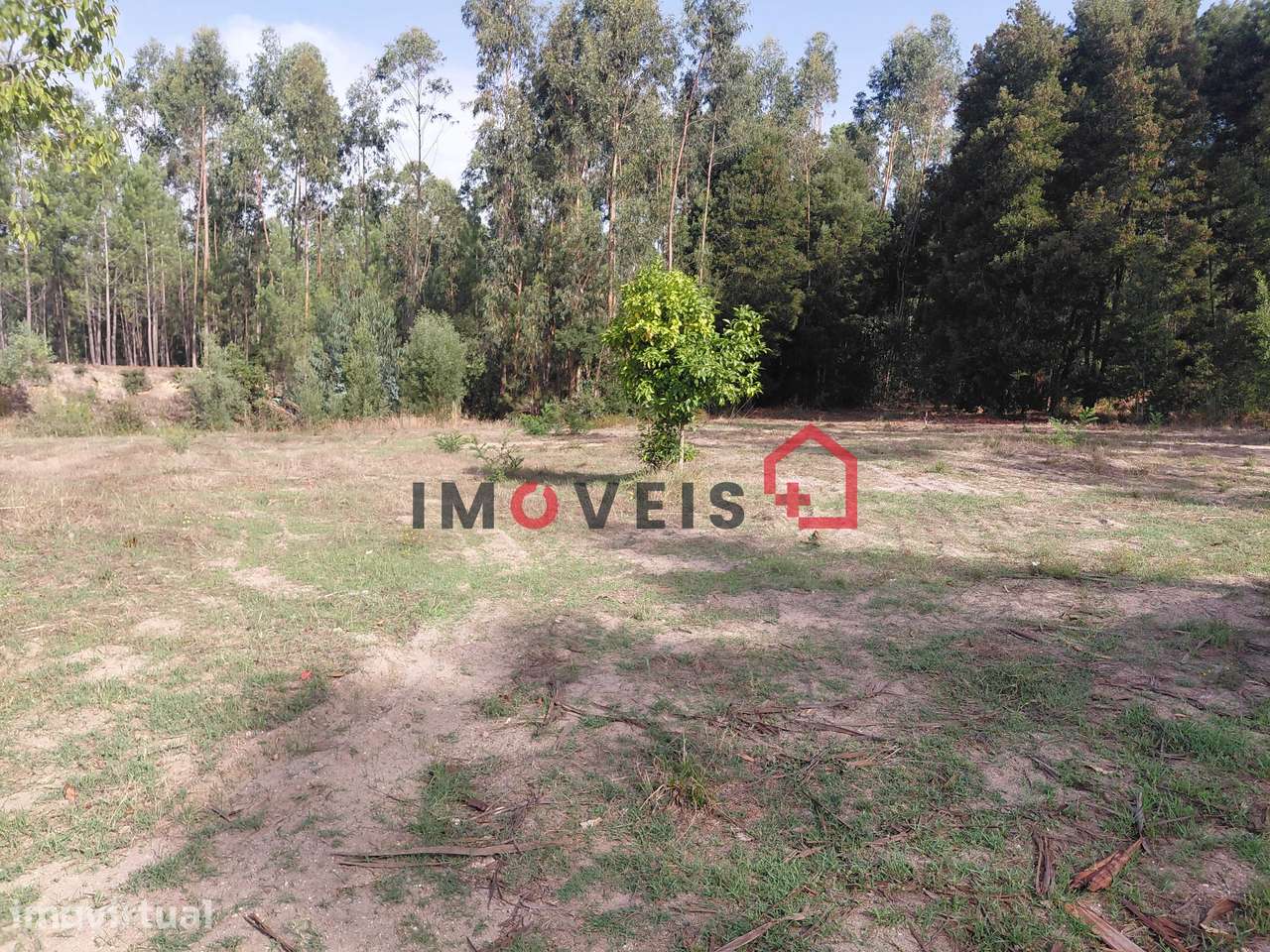 TERRENO PARA CONSTRUÇÃO  com três mil quatrocentos e cinquenta e do... - Grande imagem: 2/4