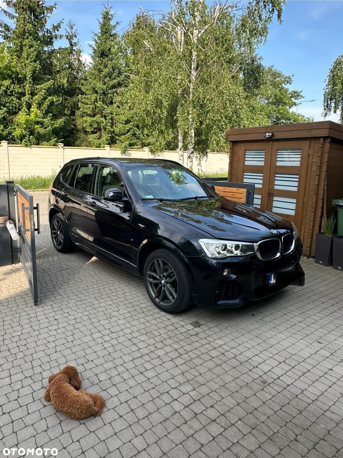 BMW X3 xDrive20d - 1