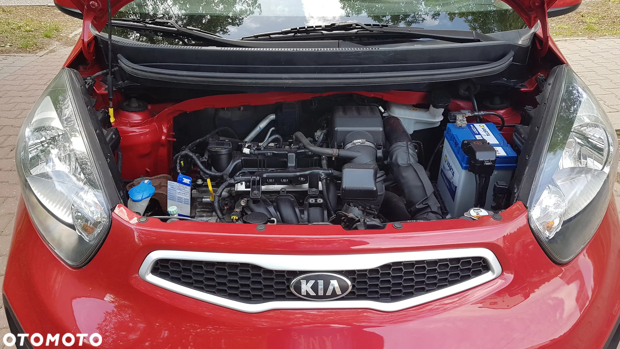 Kia Picanto - 29