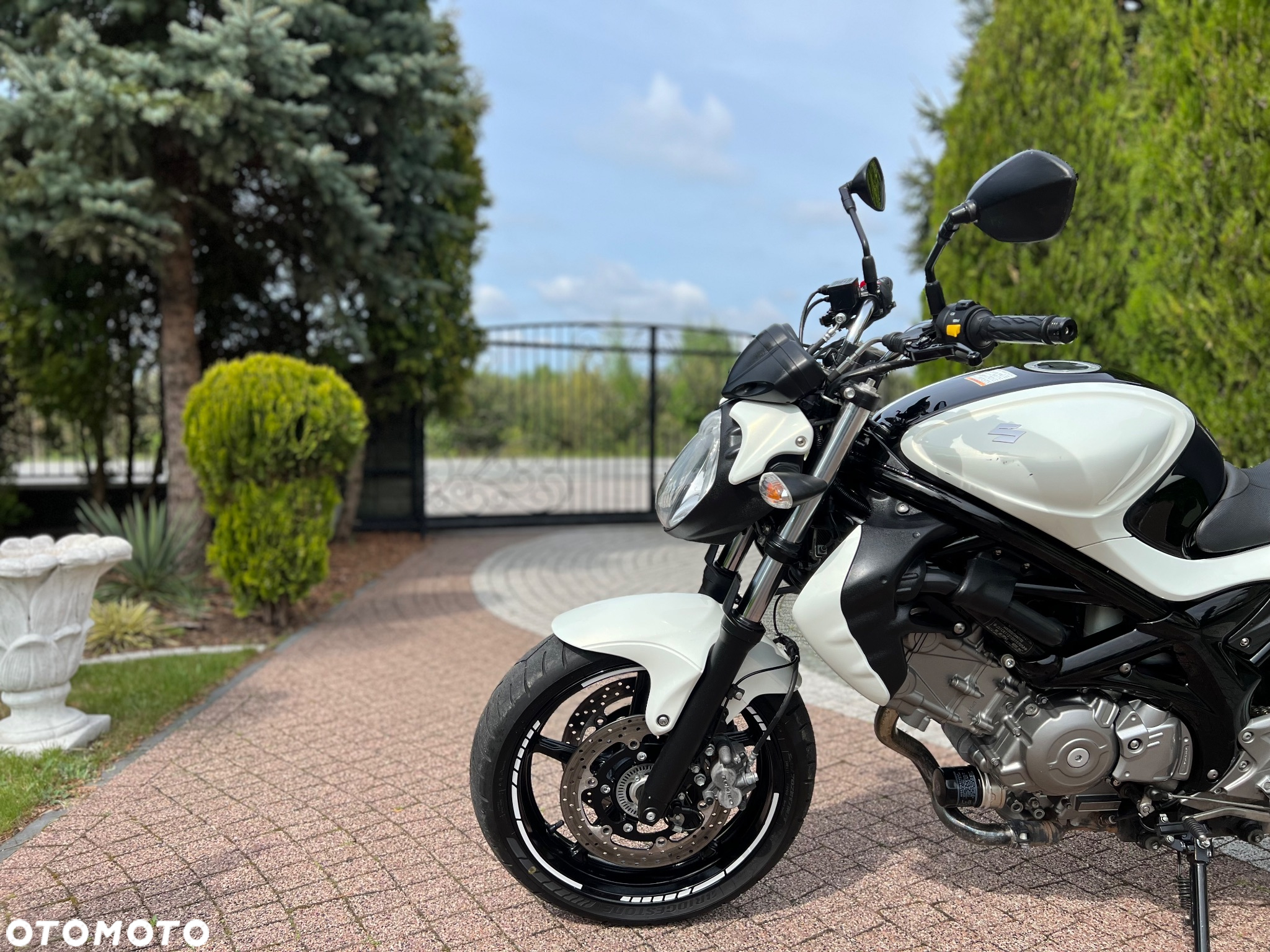Suzuki Gladius - 25