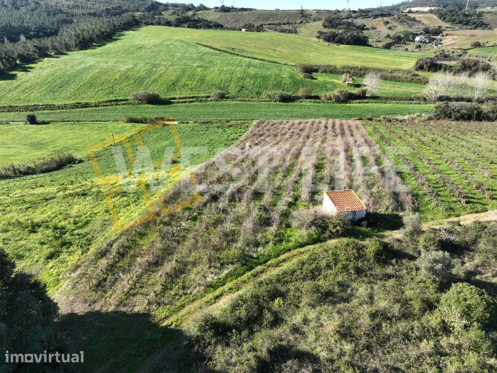Terreno agrícola de 12040m2 com poço e casa de apoio para a ativida... - Grande imagem: 4/18