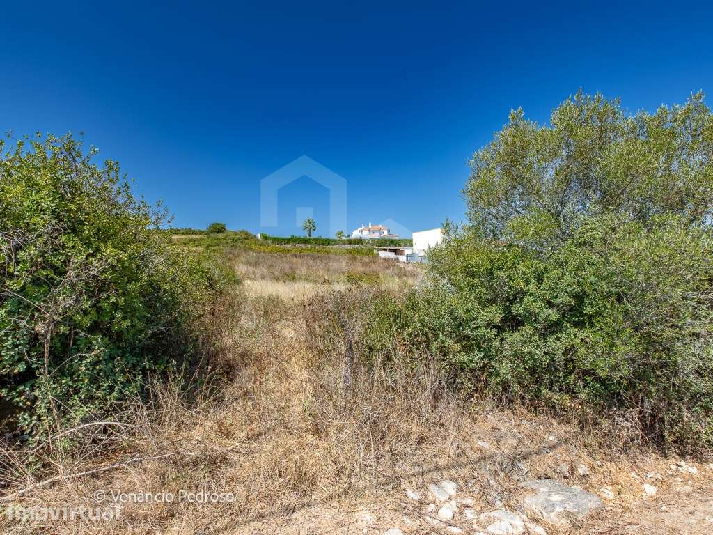 Vende Terreno - Ericeira 13 km, A Casa das Casas - Grande imagem: 5/8